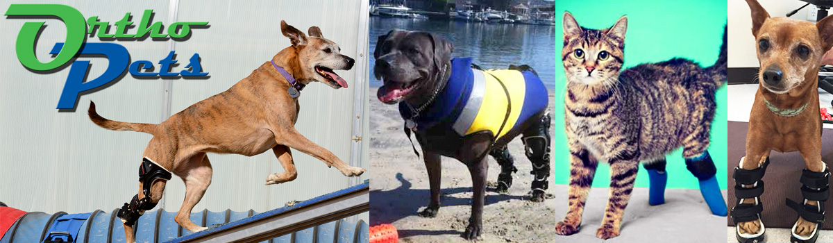 OrthoPets