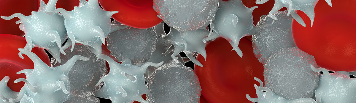 Platelet Rich Plasma